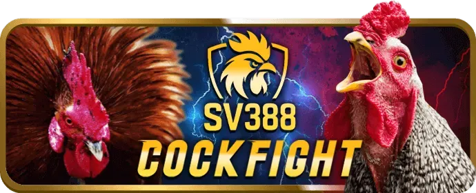 Trò chơi Slot Kimsport