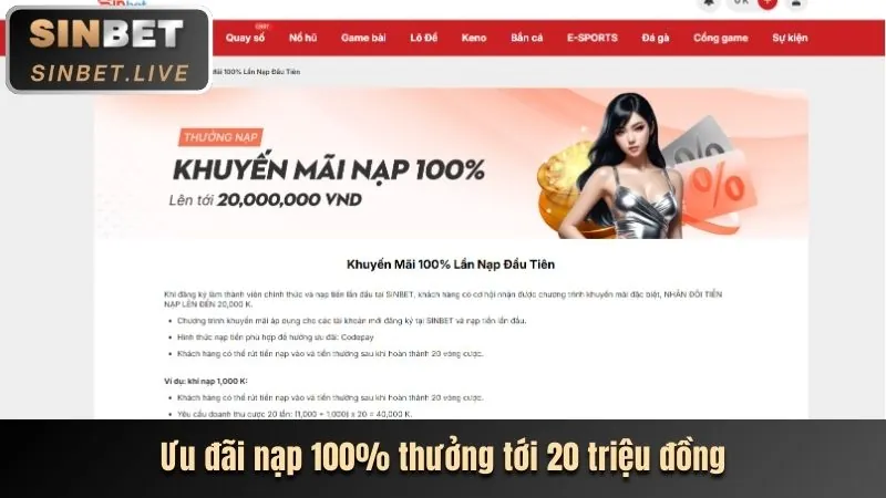 Ưu đãi và khuyến mãi tại Kimsport